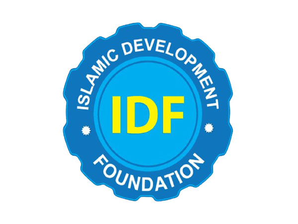 IDF Finance Logo
